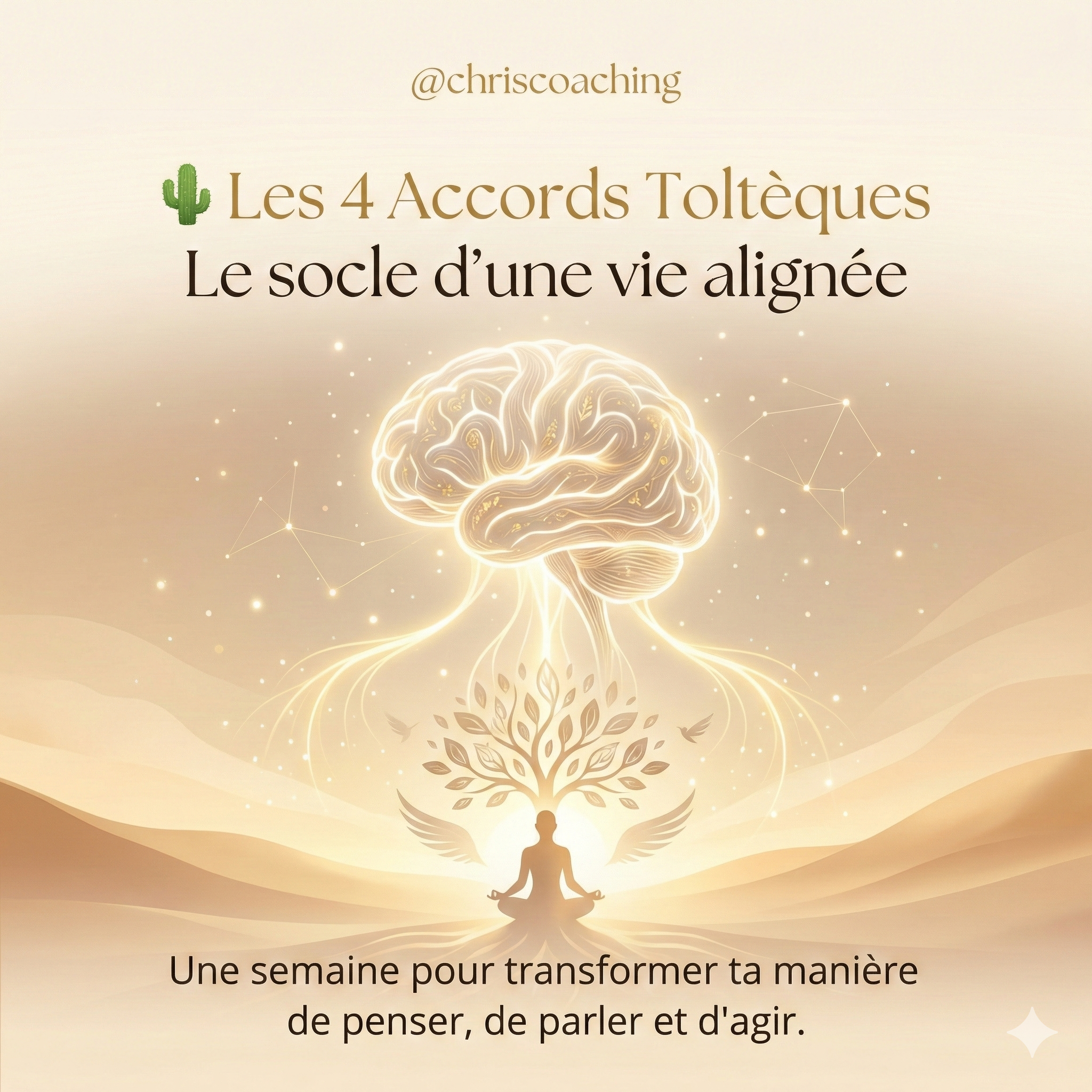 Illustration des 4 Accords Toltèques symbolisant le développement personnel et l’alignement intérieur avec un cerveau lumineux au-dessus d’une silhouette méditative.